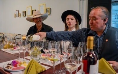 Elije el vino perfecto para cada ocasión