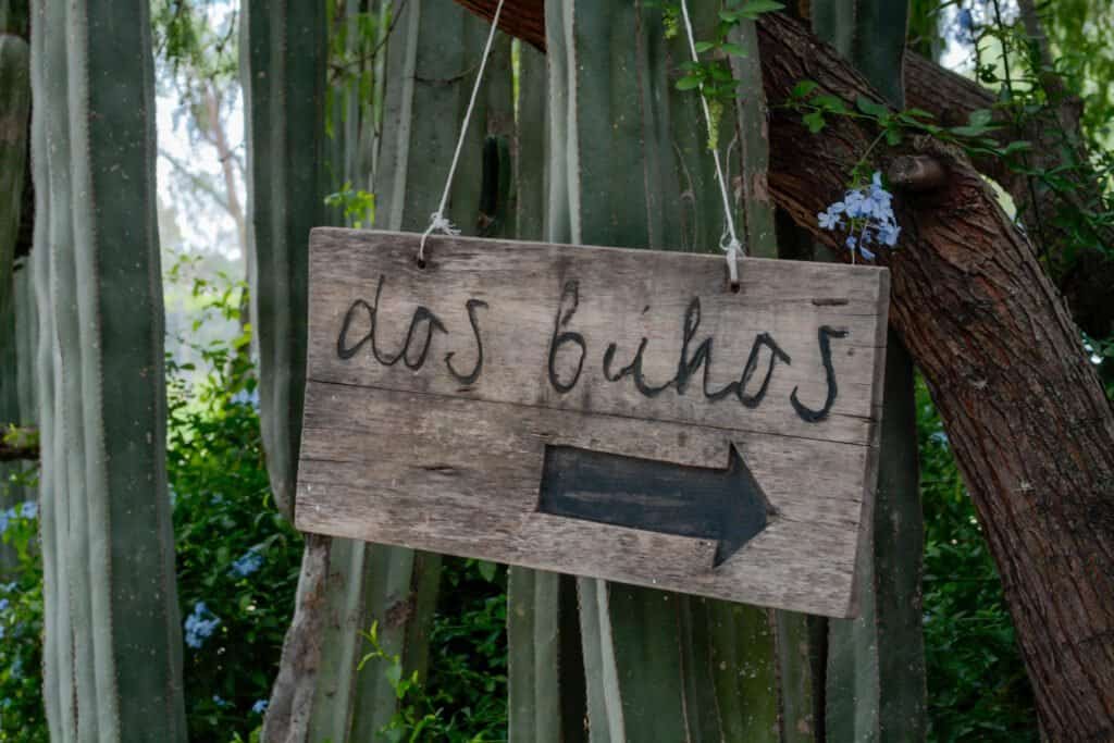 Vista de Bodega Dos Búhos en San Miguel de Allende