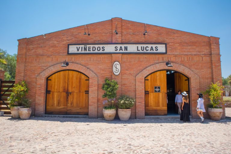 Viñedo San Lucas