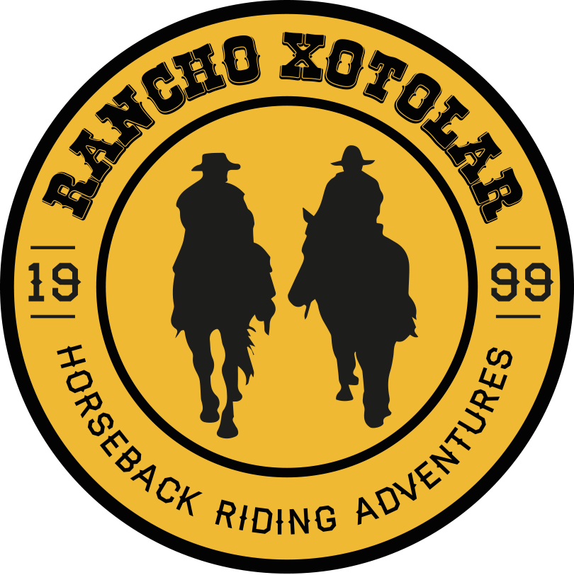 logotipo xolotar