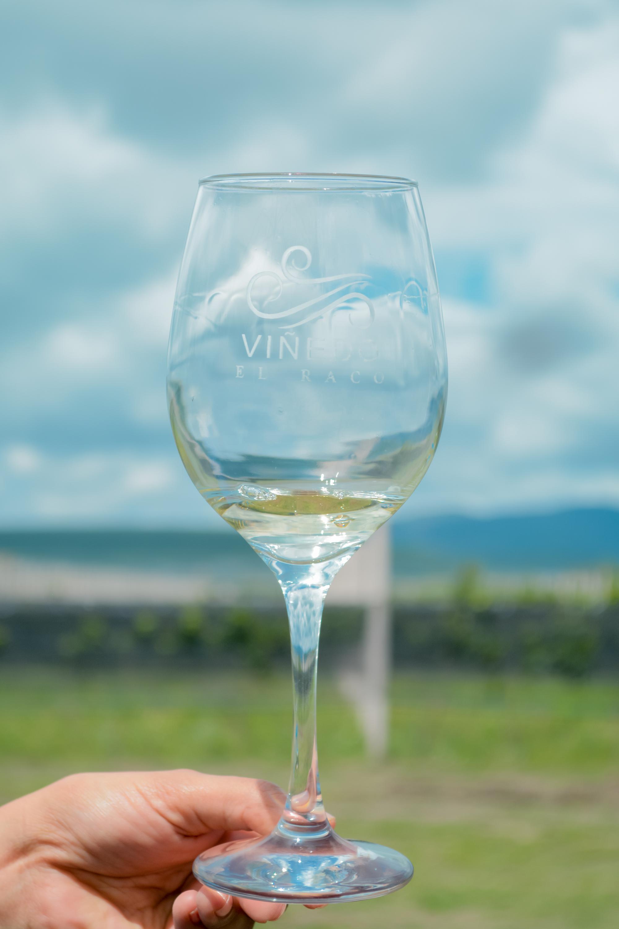 vinedo el raco vertical 35